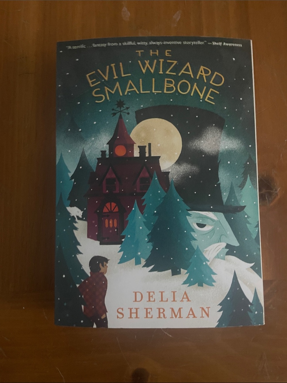 Brand new book The Evil Wizard Smallbone